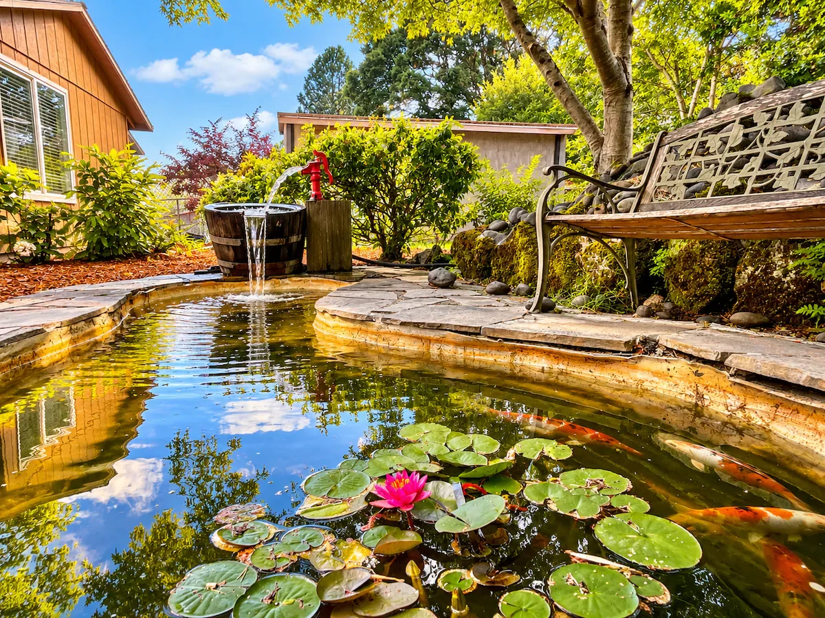 The Wanderer’s Retreat — a comfortable furnished home